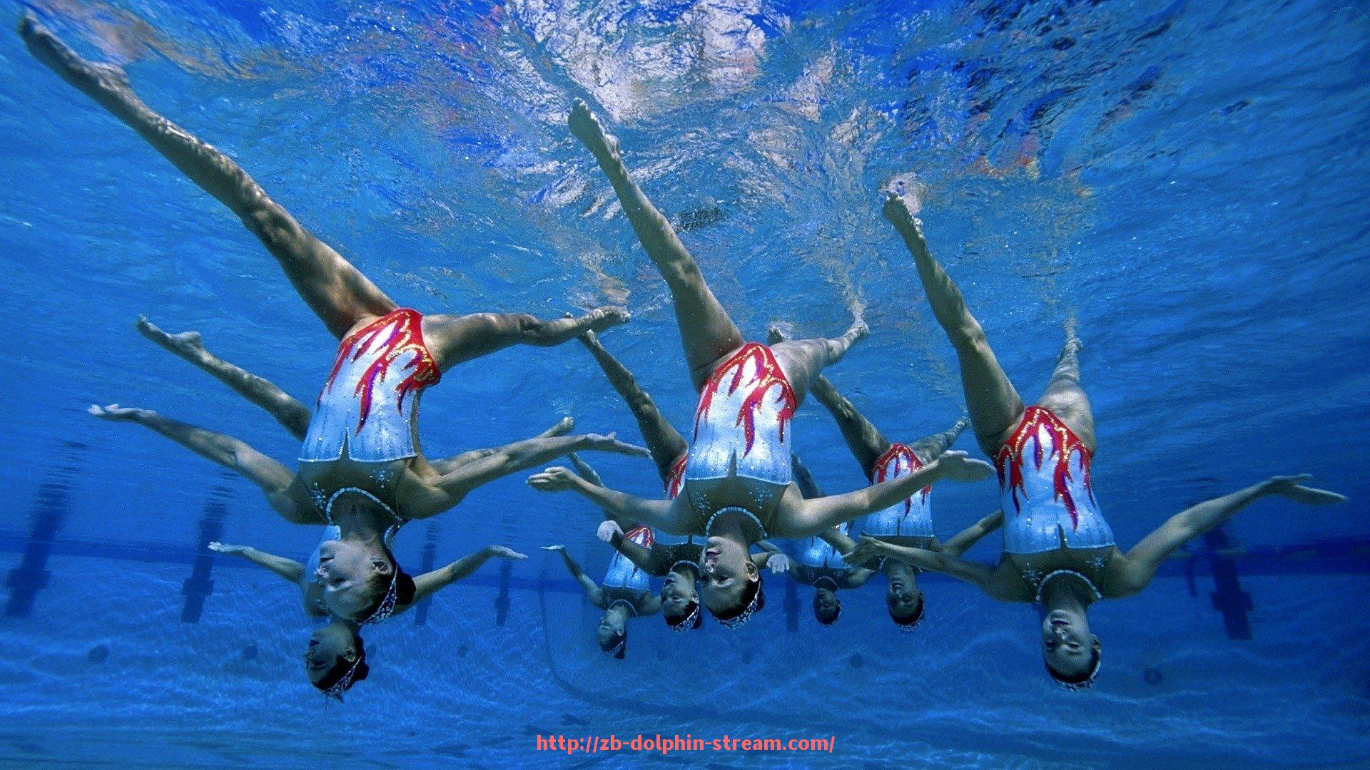 海豚直播-阿尔艾因战术讲解专栏,解码世俱杯战术意图与调整 海豚直播-阿尔艾因战术讲解专栏,解码世俱杯战术意图与调整